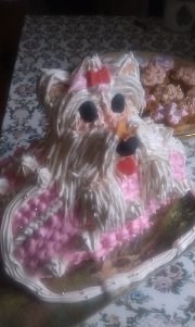 ТОРТЫ: ТОРТЫ