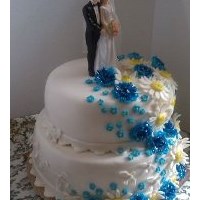 СВЕТЛАНА's Portfolio