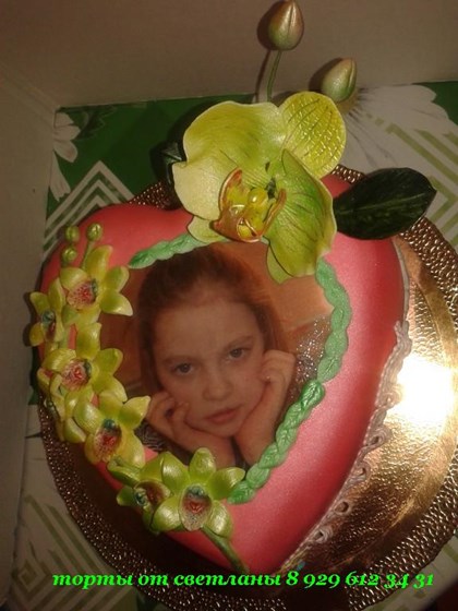 ТОРТЫ: ТОРТЫ